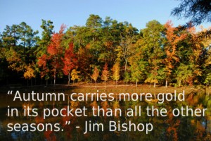fall