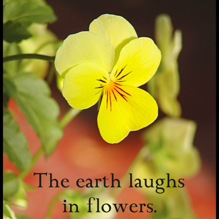 Morning Inspiration October 15, 2013