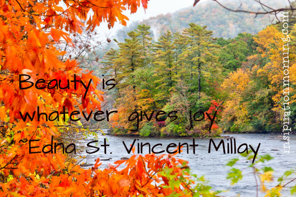 Beauty is whatever gives joy. ~Edna St. Vincent Millay
